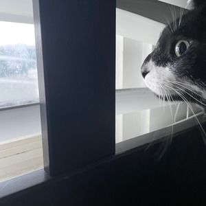 Meet your Posher, Julia